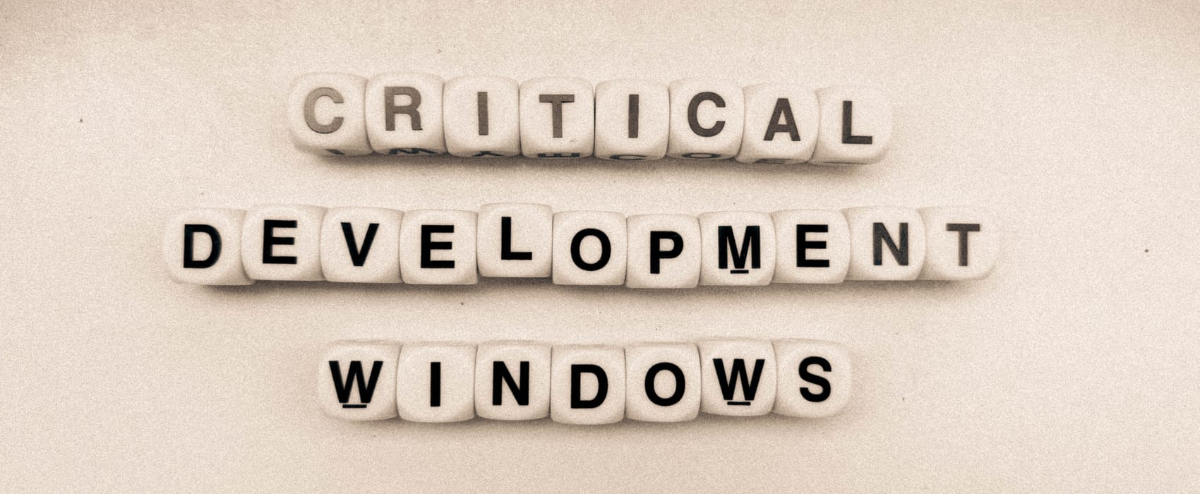 Critical Developmental Windows: The Time We Can't Get Back